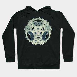 Icosahedron Bloom Hoodie